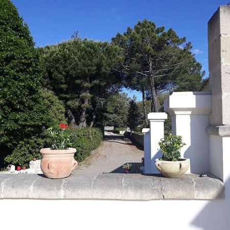 B&B Trulli E Mare 마르티나프란카 외부 사진