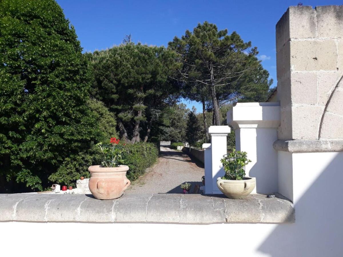 B&B Trulli E Mare 마르티나프란카 외부 사진